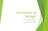 Nefrostomier og bandager - Dansk SygeplejerådResultater 2 Interventionsgruppe Kontrolgruppe Patienter der har tid til anlæggelse eller skift i perioden 01.01.14-31.12.14 Exluded