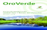OroVerde · 2020. 8. 20. · Polochic haben wir das Modell „Bioforesa“ entwickelt und verfeinert. Entstanden ist ein Katalog von „grünen Maßnahmen“, die zusammen erfolgreich