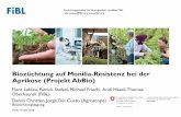 Biozüchtung auf Monilia-Resistenz bei der Aprikose (ProjektAbBio) Lebleu Aprikose.pdf · 2018. 7. 31. · • Folientunnel System VOEN (8.5 x 70 m) • 1 Reihe ohne Witterungsschutz