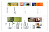 W. Feldheim: Tee und Tee-Erzeugnisse H. Grösser: Tee für · PDF file Lehrbuch der Lebensmittelchemie (Springer-Verlag) TEE Lebensmittelrechtliche Aspekte Definition Als Tee werden