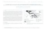 TU Bergakademie Freiberg | Die Ressourcenuniversität. Seit ...tu-freiberg.de/sites/default/files/...2404/...cambrianbrachiossardinia.pdf · sion based on trilobites and graptolites