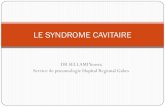 LE SYNDROME CAVITAIRE - Respir-Sud...DEFINITION Le syndrome cavitaire est défini par la présence d'une ou de plusieurs cavités néoformées dans le poumon ( présence d’air indispensable)