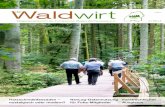 Mitgliederzeitschrift der Forstkammer Baden-Württemberg e. V. · 2015. 11. 16. · Kamps SEPPI M. Deutschland GmbH D-64720 Michelstadt Tel.: 06061 968 894-0 OFI AN´S WERK! info@kamps-seppi.de
