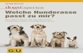 Experten - bücher.de...Siberian Husky | 152 Rottweiler | 154 Berner Sennenhund | 156 Bernhardiner | 158 Samojede | 159 Kuvasz | 160 Leonberger | 161 Neufundländer | 162 Deutsche