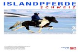 ISLANDPFERDEs78be15e4a030224f.jimcontent.com/download/version...Islandpferdeturnier in Biel-Benken vom 5. bis 6. Oktober 2013 8 SwissMót am 26. Oktober 2013 in Rüti ZH 10 Erfahrungsbericht