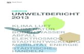 25 JAHRE UMWELTBERICHT 2013 - Stadt Zürich · 25 Jahre Umweltbericht aus den USA zurückkamen. Ich arbeitete dort für eine Schweizer Firma und stiess auf die Idee der urbanen Agrikultur
