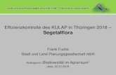 Effizienzkontrolle des KULAP in Thüringen 2018 – Segetalflora...KULAP vs. Referenz: −Artenzahl KULAP >> Referenz • KULAP-Maßnahmen: −Gesamtartenzahl bei „Schonstreifen“