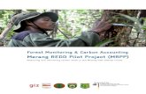 Merang REDD Pilot Project (MRPP) carbon stock assessment and the dataset incorporated with other remote sensing data to produce baseline emission calculations. 1 Merang REDD Pilot