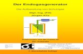 Der Endogasgenerator - Hammer GmbH...2 VORWORT Aufgrund des großen Interesses der zahlreichen Leser sowie deren Anregungen wurde die Veröffentlichung in einigen Kapiteln überarbeitet.