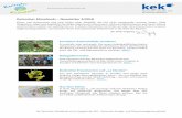 Karlsruher Klimafonds Newsletter 2/2018€¦ · Acht Personen aus den Bereichen Artenschutz und Umweltbildung besuchten im Mai 2018 unsere Projekte in Ecuador und bahnten neue Kooperationen