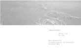 ab 19h Max Weisthoff - Muthesius Kunsthochschulewww/Flyer03_12.pdf · 2014. 12. 1. · imzwischen 03.12.'14 ab 19h Max Weisthoff Projektraum d. Bildhauerei Knooper Weg. Created Date: