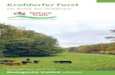 Krofdorfer Forst - NaturFreunde Hessen · legene 811 ha große FFHGebiet „Krofdorfer Forst“ umfasst einen Teil des gleichnamigen naturnahen und weitgehend unzerschnittenen Waldgebietes