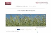 Schlägler Bioroggen - Leader Region Donau Boehmerwald...weisen die Daten für 2003 in Kollerschlag 17 Gewittertage zwischen April und August aus, wobei eine Häufung der Gewittertätigkeit