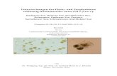 Untersuchungen des Phyto- und Zooplanktons · 2017. 6. 13. · Arp, Maier & Michels Juli 2014 Plankton schleswig-holsteinischer Seen 2013 - 1 - Untersuchungen des Phyto- und Zooplanktons