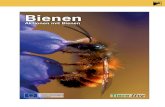 Bienen - Akademie f. Naturschutz und Landschaftspflege · 2020. 10. 5. · 2 Bienen Teil I: Bienen und Wespen – die wilden Verwandten der Honigbiene I.1 Fachliche Informationen