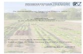 Die Überwinterung von Gartensalat (Lactuca sativa L.) im Freilandorgprints.org/21068/4/Wintersalat - Diplomarbeitklein.pdf · 2012. 11. 26. · 1 Die Überwinterung von Gartensalat