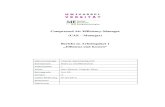 Compressed Air Efficiency-Manager (CAE Manager) Bericht ... ... Compressed Air Efficiency-Manager 3