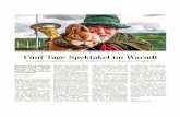 Fünf-Tage-Spektakel im Warndt - SZ 21.05...2014/05/21  · freunde dürfen Sich freuen: Harfen- und Jagdhornklänge Sind auf dem Warndt-Weekend zu hören. Rock, Pop und Schla- ger