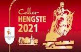 HENGSTE 2021 2021 - Niedersächsisches Landgestüt Celle · 2020. 12. 18. · die ersten Fohlen sind bereits geboren und wir arbeiten mit Hochdruck an der Fertigstellung unserer Onlinepräsentation