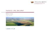 NSG-ALBUM - rlp.deNSG-Album „Mürmes“ - 11 - Pressemitteilung der Stiftung Natur und Um-welt Rheinland-Pfalz zur erfolgreichen Wiederan-siedlung des Moosbee- ren-Scheckenfalters