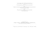 Inaugural-Dissertation ErlangungderDoktorwürde … · 2016. 5. 7. · Inaugural-Dissertation zur ErlangungderDoktorwürde der Naturwissenschaftlich-Mathematischen Gesamtfakultät