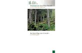 Waldreservat Uaul Prau Nausch – wo die Natur das Sagen hat · 2015. 9. 29. · Prau Nausch hat sich eine typische, im Gebirge recht häufi-ge Waldvegetation ausgebildet, in welcher