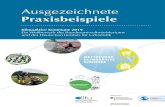Ausgezeichnete - CO2-Fasten Challenge 2020 · 2020. 7. 10. · Anne Roth, Bernd Rothammel, Norbert Schiemann, Silke Schlegelmilch, Florian Schoop, Svenja Schulze, Isabel Staiger,