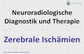 Neuroradiologische Diagnostik und Therapie/Radiologie… · 2 h Core 3 h 6 h The Ischemic Penumbra Baron, Cerebrovasc Diseas 1999 1/2 h 2 h 4 h 8 h 12 h 20 h The Ischemic Penumbra