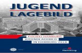 JUGEND - hamburg.de · 2019. 7. 4. · Der Fachstab 31 (Jugend) des LKA bereitet dazu in enger Abstimmung mit Staatsanwalt-schaften und Gerichten Aus- und Fortbildungsmaßnahmen vor,