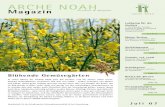 ARCHE NOAH · ARCHE NOAH Magazin Zeitschrift für Mitglieder Gesellschaft für die Erhaltung der Kulturpflanzenvielfalt & ihre Entwicklung J u l i 0 7 Blühende Gemüsegärten In