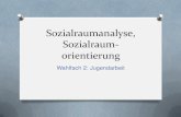 Sozialraumanalyse, Sozialraum- orientierung...Sozialraumanalyse, Sozialraum-orientierung Author: Frank Created Date: 10/15/2017 9:02:50 PM ...