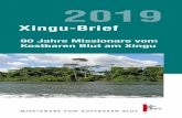 Xingu-Brief · 2019. 12. 11. · Xingu-Altamira. In den zehn Pfarreien arbeiten 15 Diözesan- und neun Ordenspriester sowie 37 Ordensfrauen. Der abgetrennte Teil von 128000 km2 mit