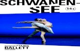 SCHWANEN- SEE - Karlsruhe · 2018. 11. 16. · (Schwanen see, Dornröschen, Der Nuss-knacker), wurde jedoch als letztes in einer definitiven Choreografie 1895, 18 Jahre nachdem die