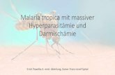 Malaria tropica mit massiver Hyperparasitämie und …...2020/03/02  · Malaria tropica mit massiver Hyperparasitämie und Darmischämie Schwere Malaria >10%, hier 50% Parasitendichte!
