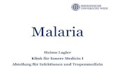 Malaria - ... 2017/08/03  · Malaria-Schnelltest - Limitationen Falsch negativ 1. Alle Tests bei niedriger Parasitämie 2. HRP2 Tests: detektieren nur P. falciparum 3. Pan-spezifischer