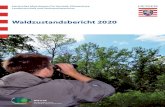 Waldzustandsbericht 2020 - Hesse · 2020. 11. 6. · Integrierter Klimaschutzplan Hessen 2025 6 Johannes Eichhorn, Uwe Paar und Inge Dammann WZE-Ergebnisse für alle Baumarten 9 Uwe