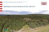 Waldzustandsbericht 2019 - NW-FVA3 Seite Vorwort 2 Inhaltsverzeichnis 3 Hauptergebnisse 4 Uwe Paar und Inge Dammann Forstliches Umweltmonitoring und Integrierter Klimaschutzplan Hessen