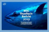 MSC Thunfisch Bericht 2019...so teuer: Anfang 2019 erzielte ein Exemplar eines Blauflossenthunfischs auf dem Fischmarkt von Tokio die Rekordsumme von umgerechnet 2,7 Millionen Euro2.