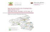 Startseite | mueef.rlp.de | Willkommen in Rheinland-Pfalz · 2016. 5. 12. · KAK pot wird maßgeblich vom Humusgehalt be-stimmt. Es scheinen kaolinitische Tonminerale vorzuherrschen,