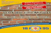 TERMINE / NEWS - FanRat Braunschweig · 2017. 2. 24. · Inhalt Kolumne "Heimwärtsspiel" S. 2 Vorwort S. 3 Jubiläumsfeier Braunschweiger Jungs '95 S. 3 Positiv in die Zukunft! S.