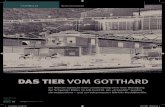 DAS TIER VOM GOTTHARD · 2009. 10. 6. · Gotthard-Strecke und den Bau ge-eigneter Lokomotiven in die Hand zu nehmen. Am 30. Juni 1917 be-MAGAZIN 04/2009 93 551_Krokodile_V1.indd