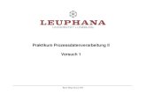 Praktikum Prozessdatenverarbeitung II Versuch 1 · 2010. 1. 6. · Praktikum Prozessdatenverarbeitung II Prof. Dr.-Ing. R. Welge Björn-Helge Busch 2007 Abhilfe schafft die Verwendung