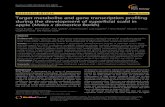 RESEARCH ARTICLE Open Access Target metabolite and gene … · 2017. 8. 29. · RESEARCH ARTICLE Open Access Target metabolite and gene transcription profiling during the development