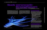 Stark verwurzelt: Stresspflanzen - Thieme...Ell-Beiser H: Stark verwurzelt: Stresspflanzen. DHZ – Deutsche Heilpraktiker Zeitschrift, 2015; 1: 42–45 44 DHZ PRAXIS Phytotherapie