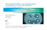 Wie häufig sind ESBL- und Carbapenemase- produzierende E. coli … · 2014. 11. 24. · Carbapeneme. ESBL / Carbapenemasen in E. coli in der Schweiz 11 Departement Infektiologie,