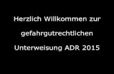 Herzlich Willkommen zur gefahrgutrechtlichen Unterweisung ADR 2015 · 2019. 10. 24. · ADR RID ADN/ADNR IMDG-Code IATA-DGR Gesetzliche Grundlagen Recommendations on the Transport