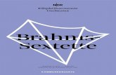 Brahms- Sextette - NDR · 2020. 11. 26. · Sextette KAMMERKONZERTE Samstag, 21.09.19 — 19.30 Uhr Elbphilharmonie Hamburg, Kleiner Saal. STEFAN WAGNER Violine RODRIGO REICHEL Violine