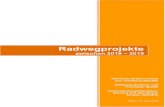Radwegprojekte - land-oberoesterreich.gv.at · 2019. 6. 13. · Donauradweg Linz – Puchenau 12 Radweg Oberranna – Abschnitt 1 + 3 13 Radweglückenschluss Klaus – St. Pankraz
