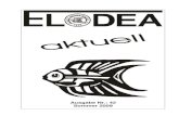 Ausgabe Nr.: 42 Sommer 2009 - Elodea Bergstrasse · 2019. 3. 23. · ELODEA aktuell Seite 10 Elritze Merkmale: Sie wird 6 bis 8 cm lang, selten bis 12 cm, ist gelb-bräunlich und
