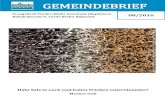 GEMEINDEBRIEF - Hofkirchehof-kirche.de/wp-content/uploads/2016/07/gb2016-08.pdf · 2016. 7. 25. · Gemeindebrief Hofkirche Köpenick 3 August 2016 geistlichen Stoffwechsel. U bt